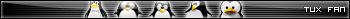 Quelle: http://www.deadlift.de/host/host/Tux_Fan.png